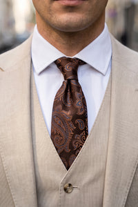 Meeste tumesinine Paisley-mustriga lips